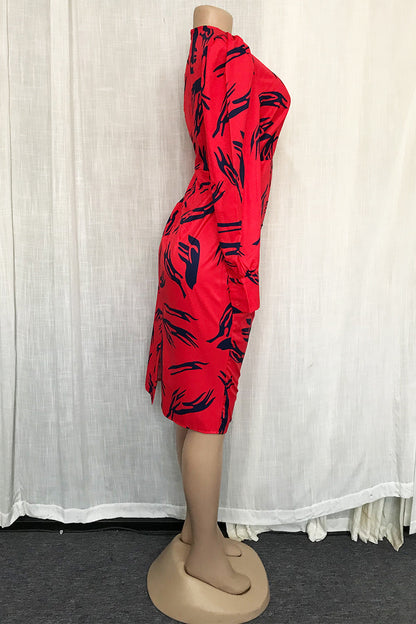 Plus Size Women's Print Stitching Dress