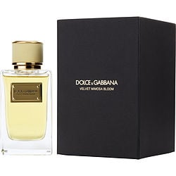 DOLCE & GABBANA VELVET MIMOSA BLOOM by Dolce & Gabbana-0